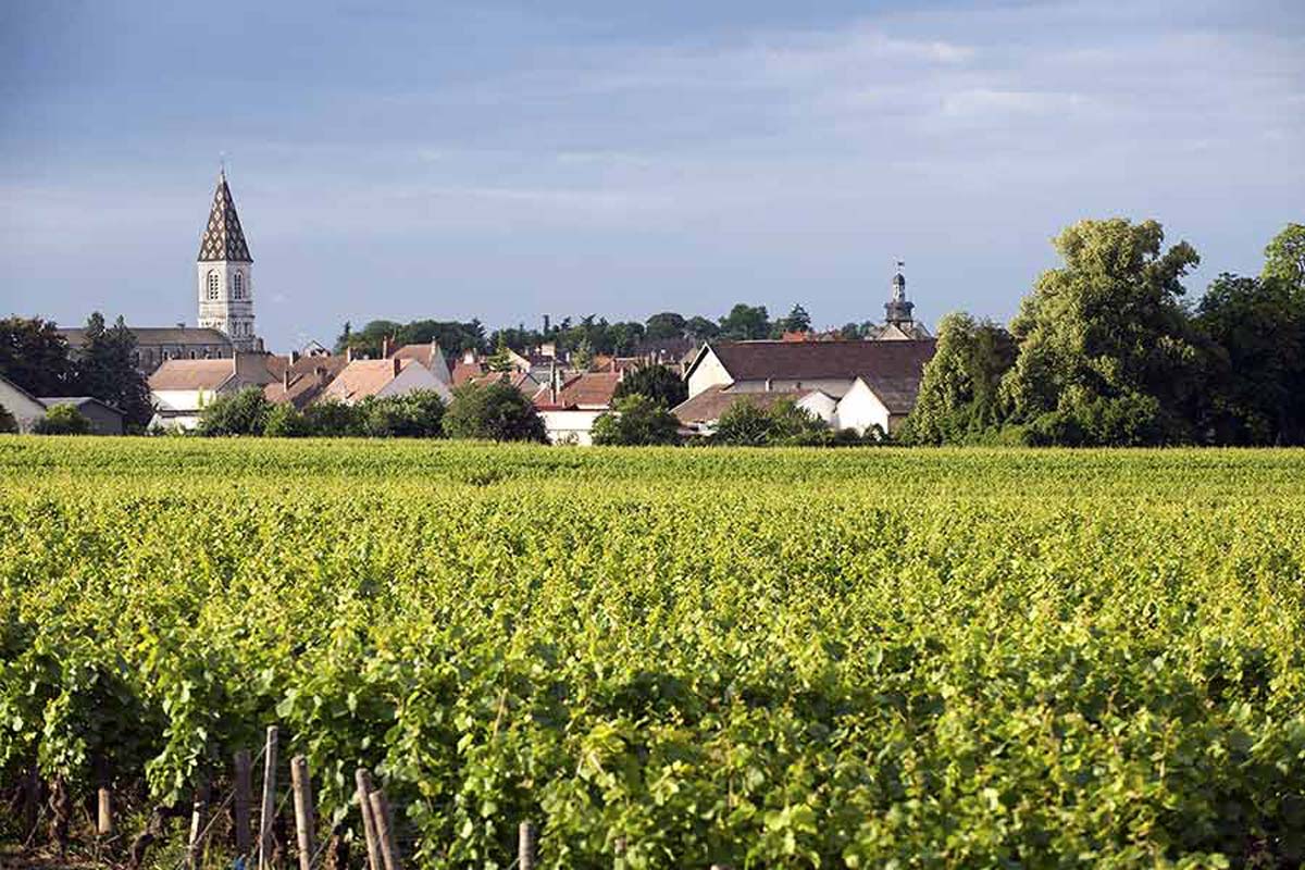 Dufouleur-Nuits-st-georges